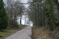 By 'Beechlands'
