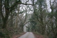 Lane to Hackpen Hill Lane to Hackpen Hill