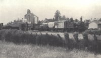 1451 with mixed train at Uffculme, running alongside the River Culm, July 1962