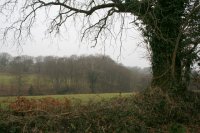Woodland and farmland. Looking north west.  Image � Martin Bodman