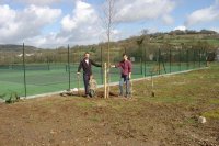 Volunteers planting shrubs - April 06