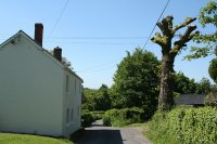Looking north west. Note the TV aerial positioned in the tree across the road for better reception.  Image � Martin Bodman