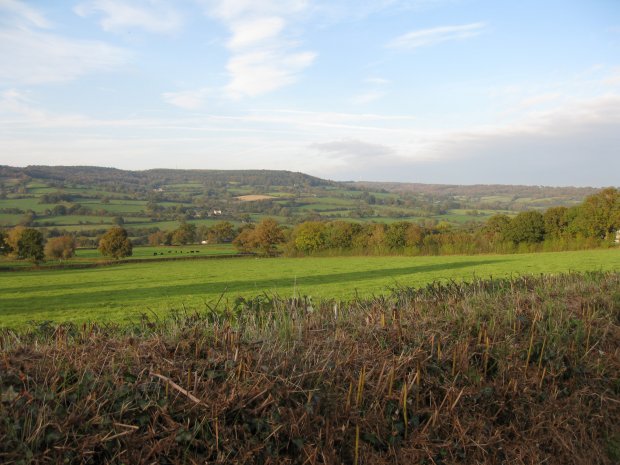 Culm Davy from the south west