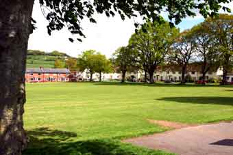 The recreation field