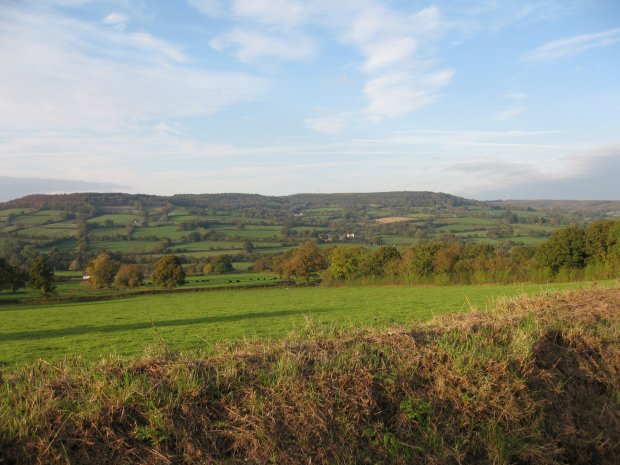 Culmstock Beacon and Culm Davy from the south