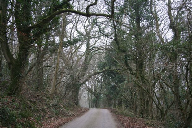 Lane to Hackpen Hill