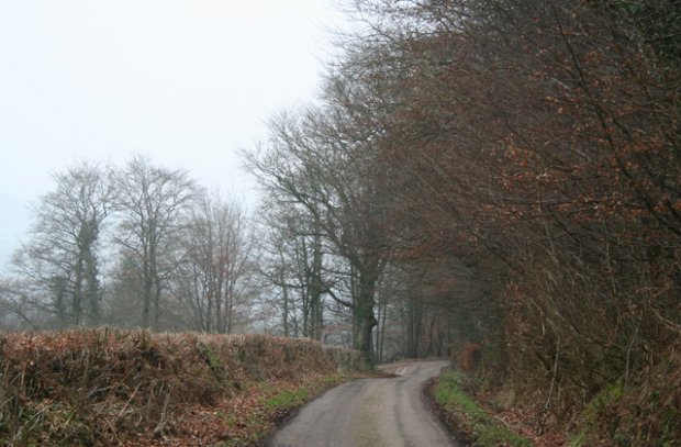 Lane to Brownings