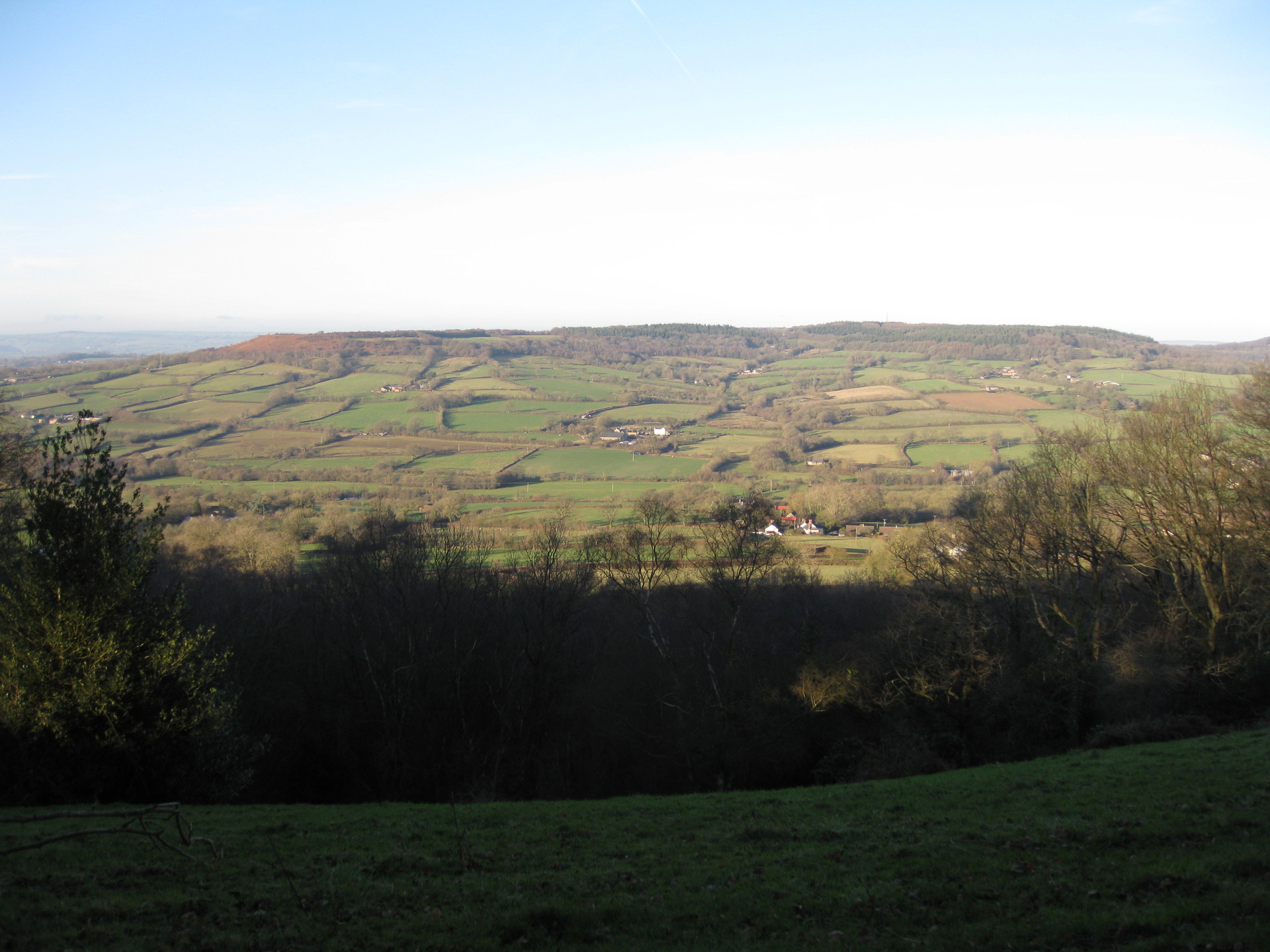 Culm Davy from above Owleycombe Common