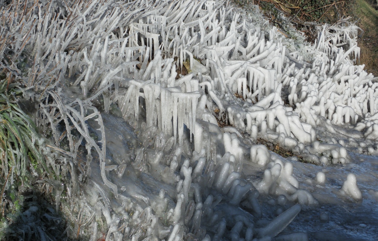 A bit more ice sculpture