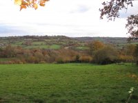 Ridgewood from Combe Hill in the Autumn