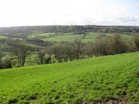 Burrow Hill from Ridgewood