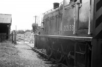 Whitehall Halt