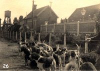 Fox Hounds at Hemyock Station